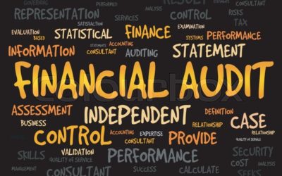 Financial Audit Reports