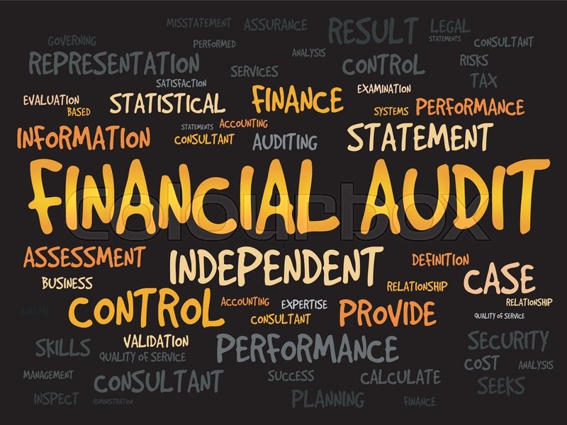Financial Audit Reports